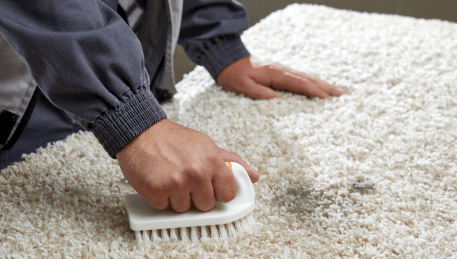 Professional Rug Cleaning Albion